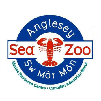 Anglesey Sea Zoo